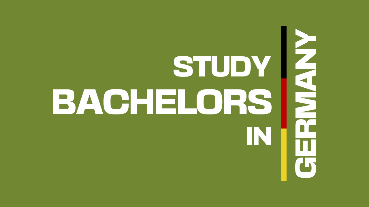 Bachelor's Degree